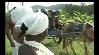 Jak Negras tak сензала